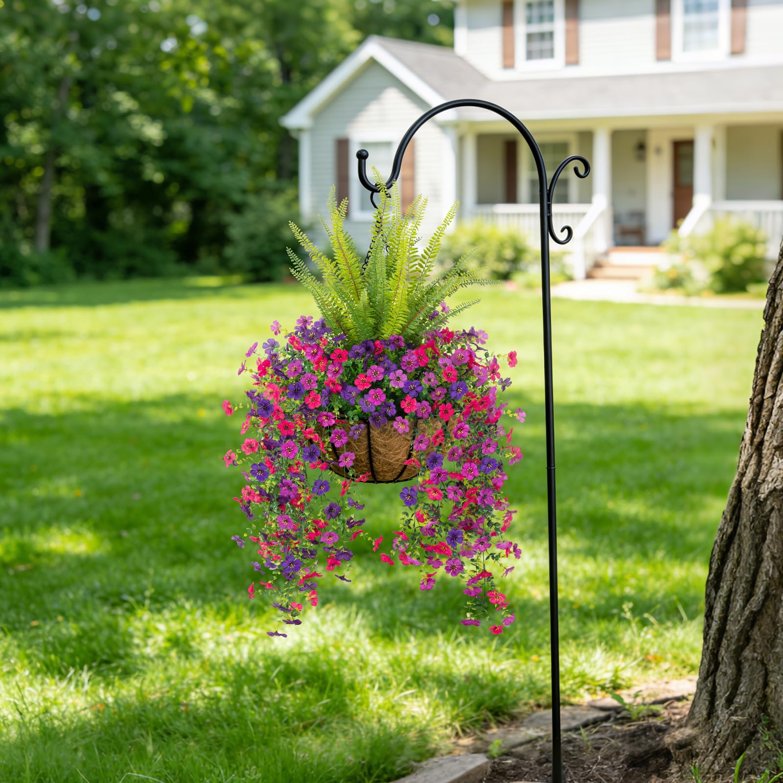 Hrobek daisy-fern arrangement ideal for patio balcony yard