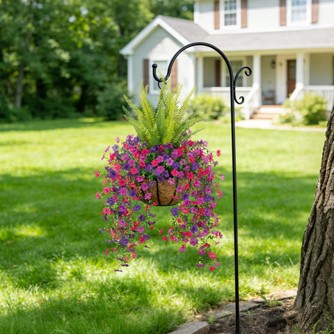 Hrobek daisy-fern arrangement ideal for patio balcony yard