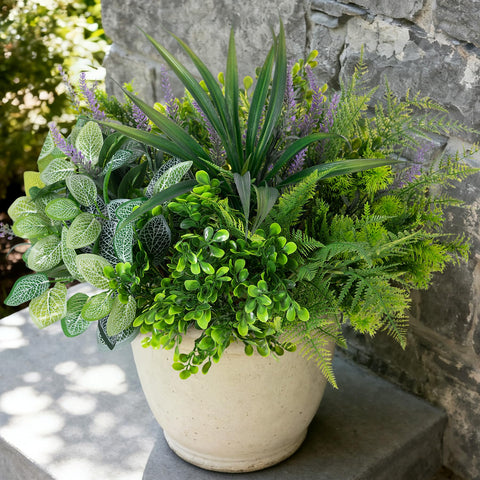 Hrobek lavender bundles for outdoor display, vibrant color with low maintenance for patios