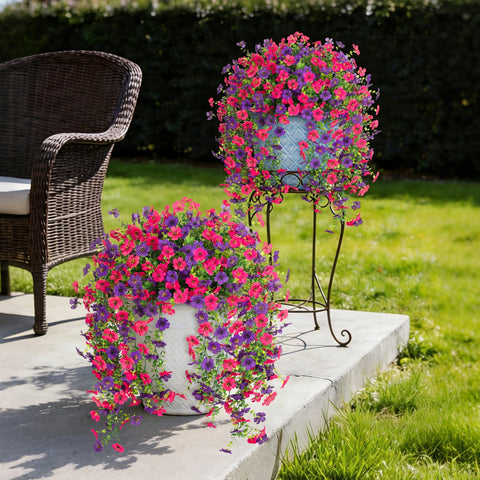 Hrobek Outdoor daisy arrangement shows vibrant petals and natural texture.