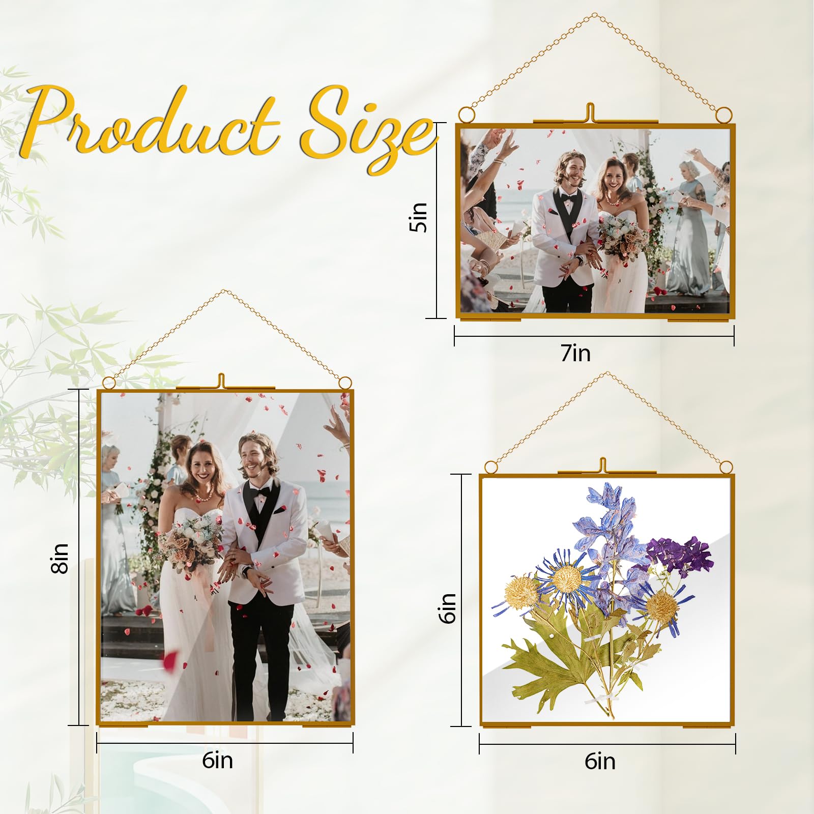 HSDSH 3-pcs glass frame set highlights 6x6 gold frame for botanicals