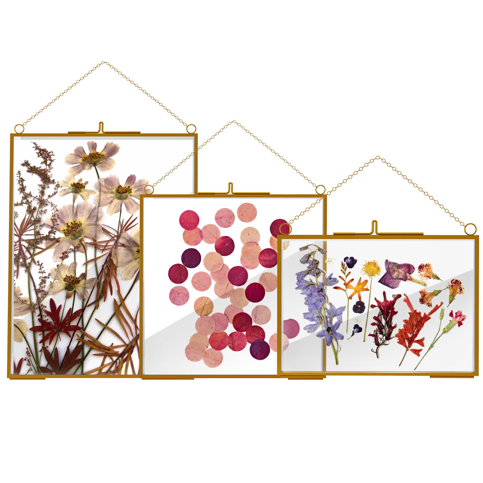 HSDSH 3-pcs glass frame set shows pressed flowers in 6x8 for wall display
