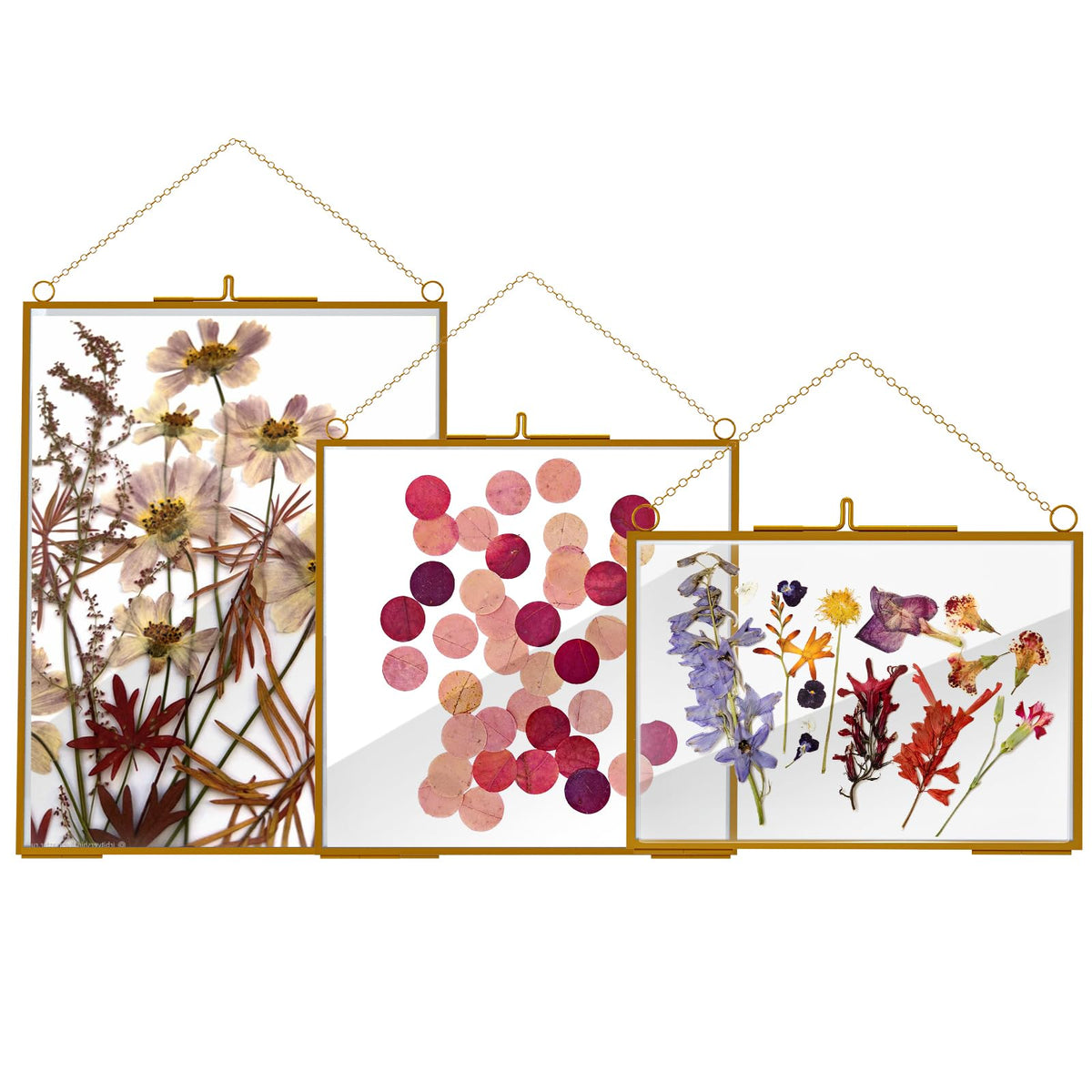 HSDSH 3-pcs glass frame set shows pressed flowers in 6x8 for wall display