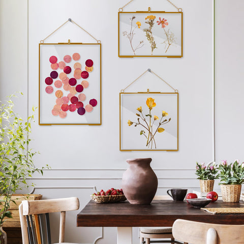 HSDSH frame set protects dried flowers and keepsakes