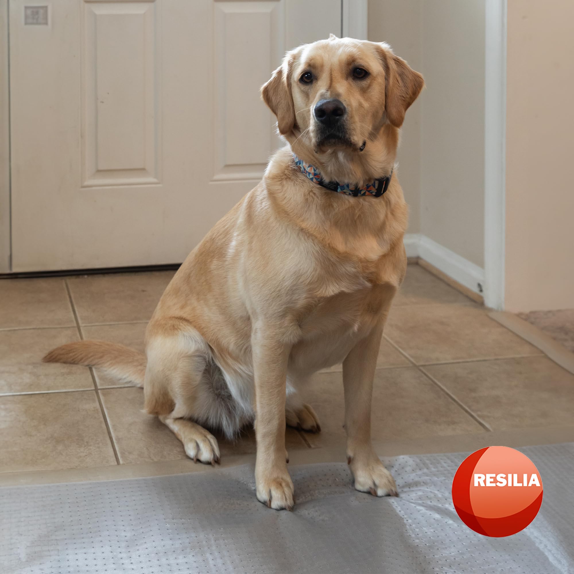HugsandTails made-in-USA mat for durable, domestic protection.