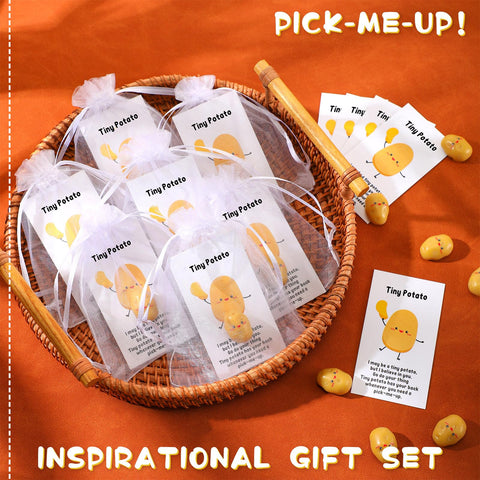 Huwena bulk gift packaging with cards and bags for easy assembly