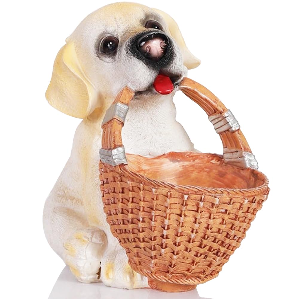 H&W dog candy dish with woven-basket look adds playful organization to entryways.