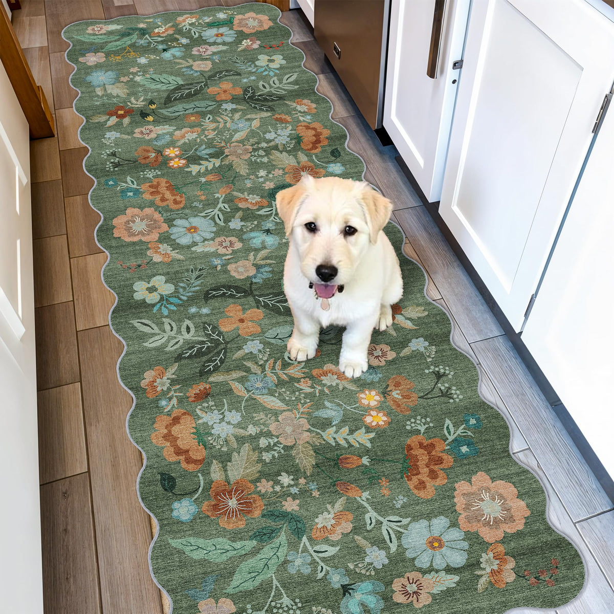 HY HAO YUN LAI washable 2x6 runner rug entryway with easy cleaning.