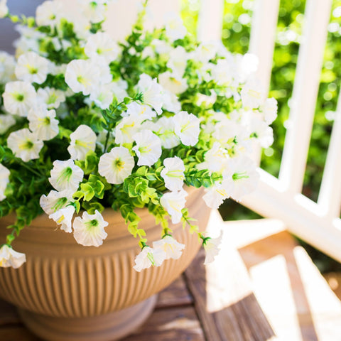 HyeFlora twelve bundle outdoor flower set enhancing exterior decor