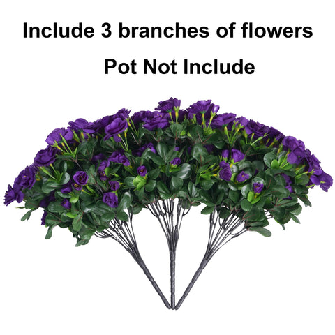 HyeFlora outdoor camellia clusters in dark purple offering long-lasting color