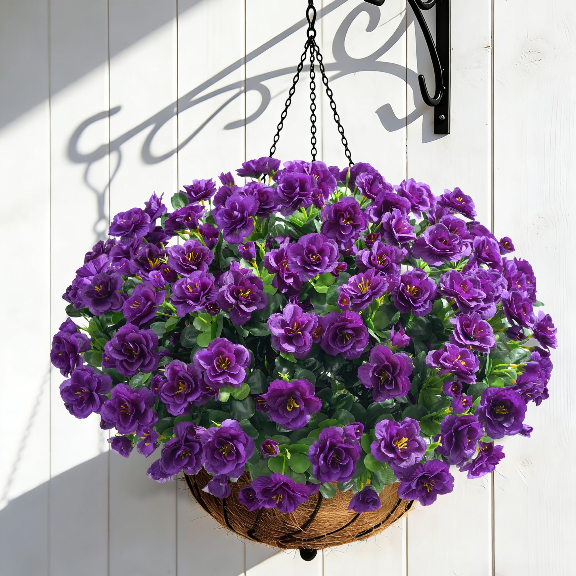 HyeFlora dark purple camellias in outdoor planters enhance garden corners