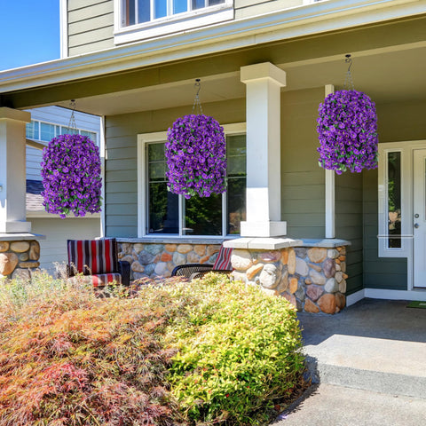 HyeFlora balcony garden setup with trailing vines