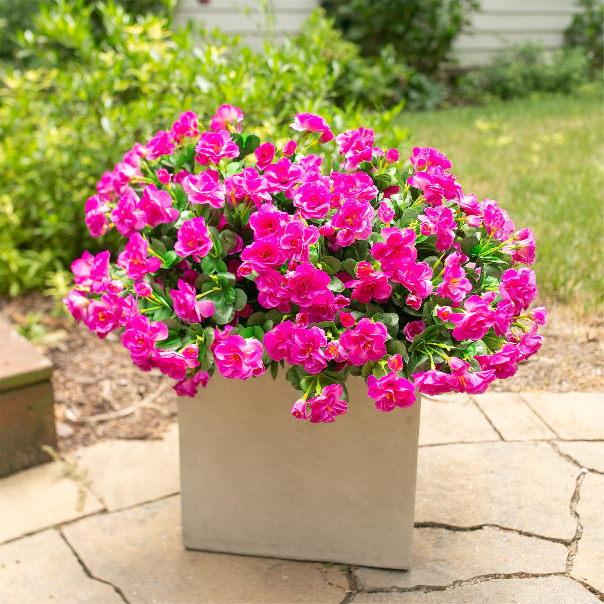HyeFlora camellia arrangement in outdoor planter demonstrates lush scenery
