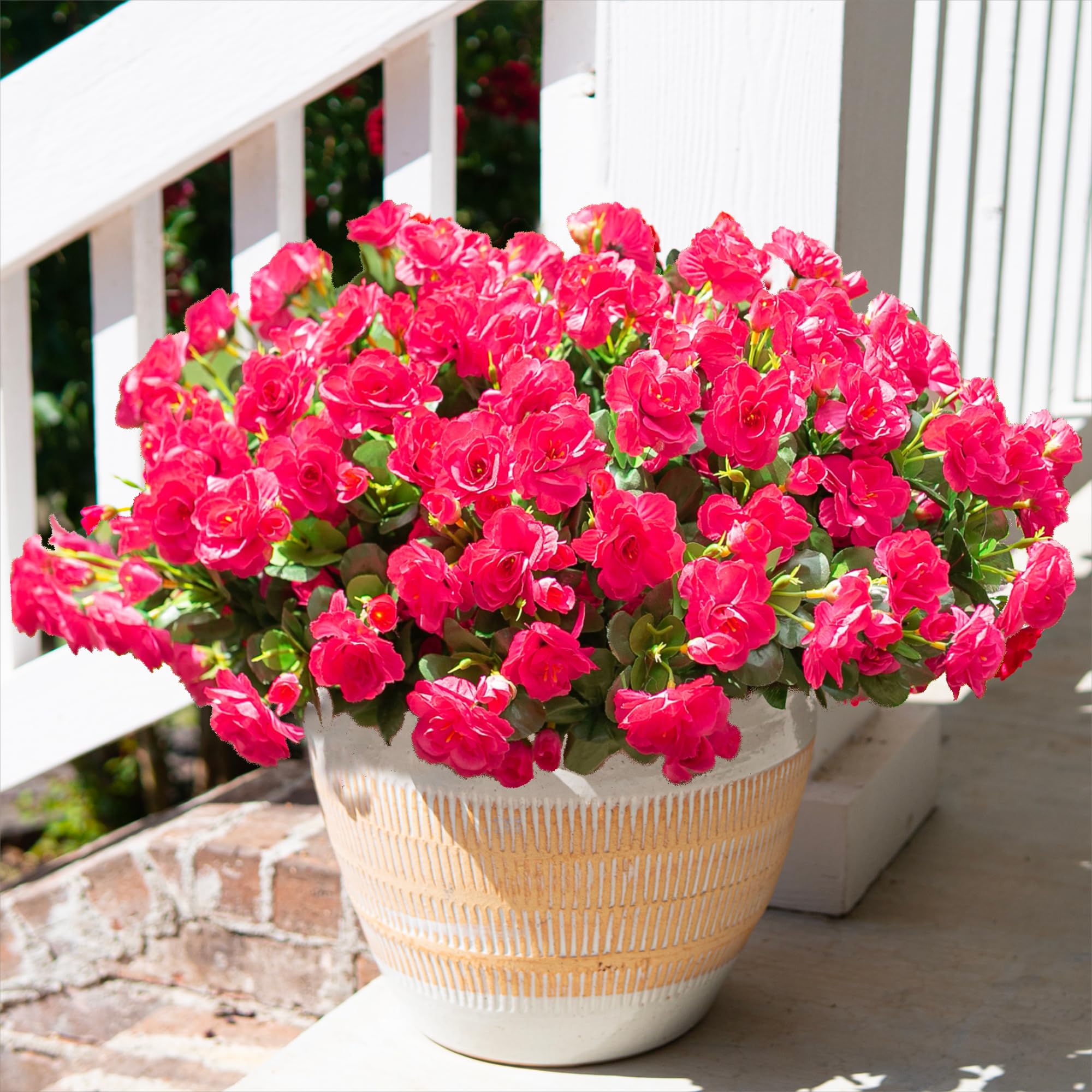 HyeFlora camellia outdoor branch closeup, low-maintenance balcony decor.