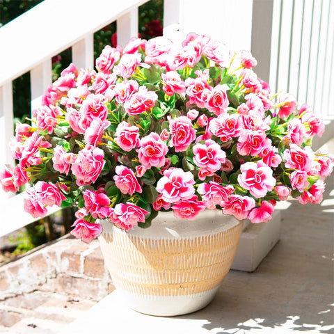 HyeFlora camellia outdoor flower branch in planter for porch decor with UV resistance