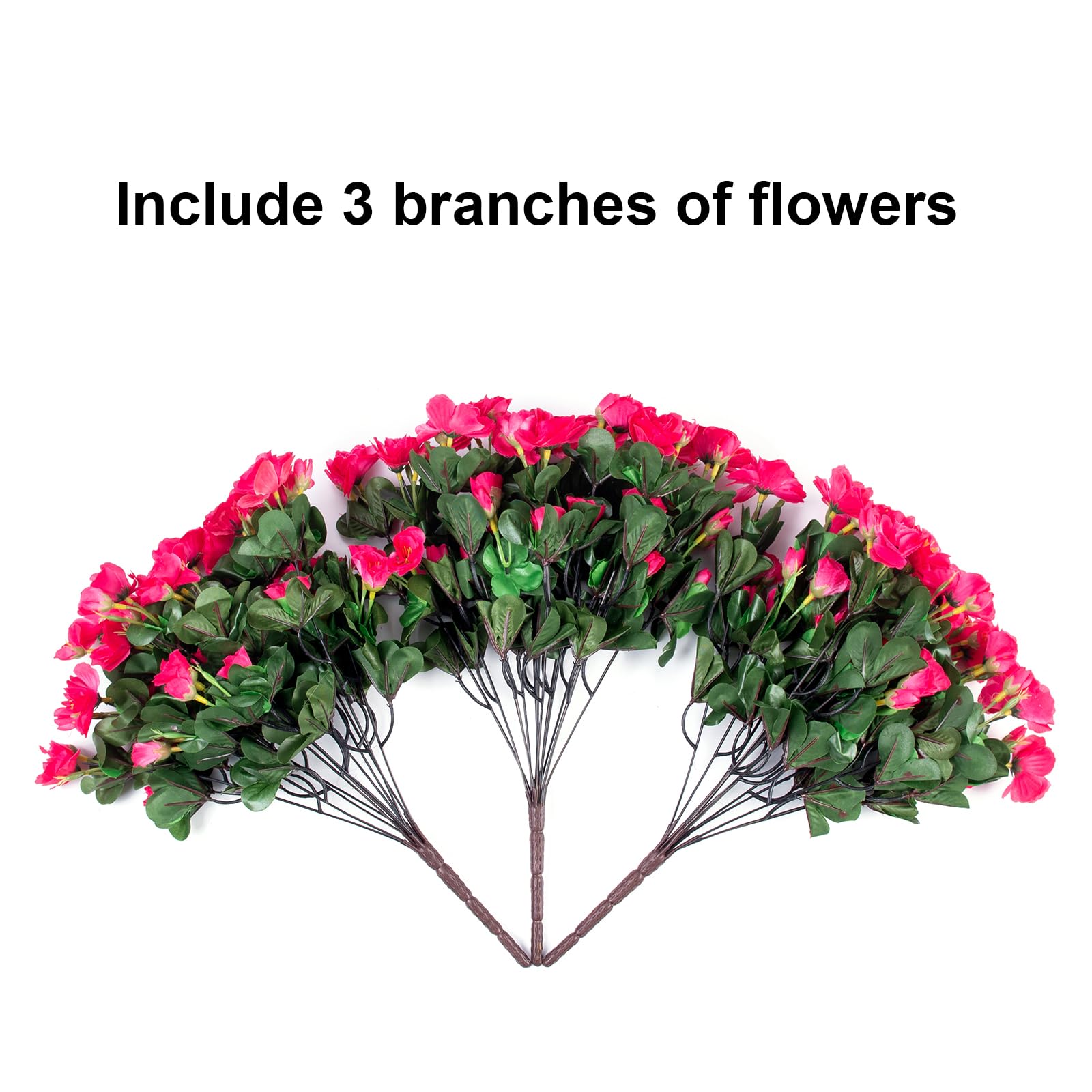 HyeFlora camellia outdoor garden edge, vivid color with minimal upkeep.