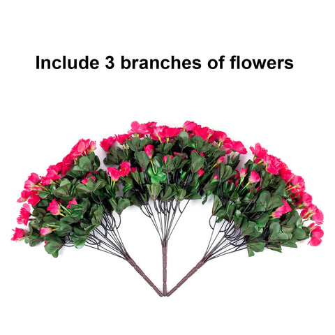 HyeFlora camellia outdoor garden edge, vivid color with minimal upkeep.