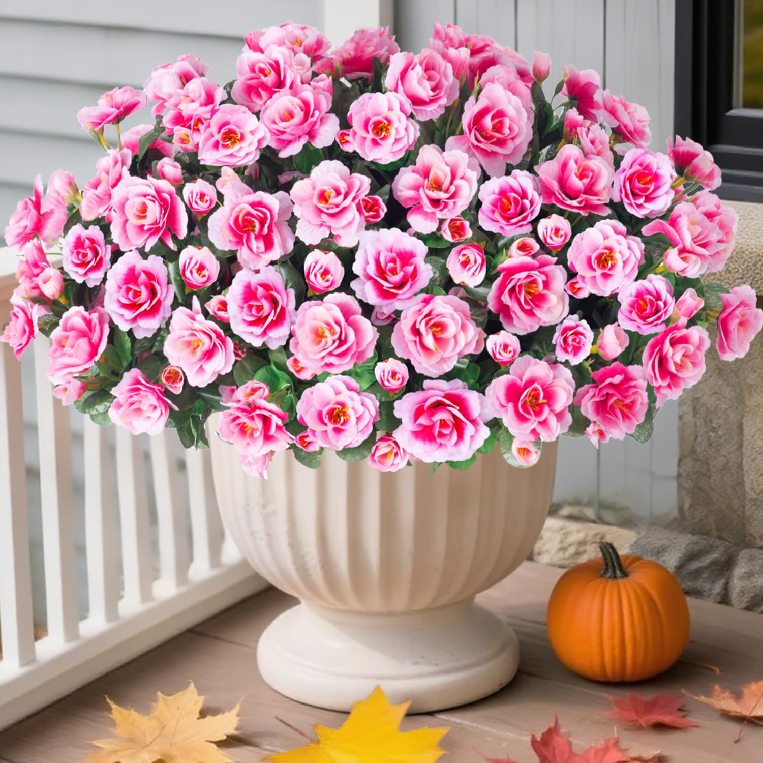 HyeFlora camellia outdoor porch flowers staying vivid through seasons