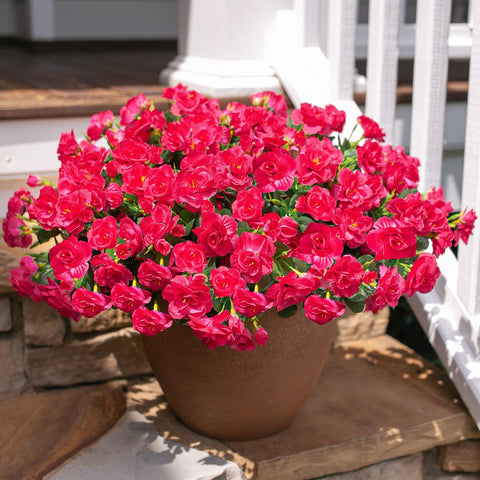 HyeFlora camellia outdoor porch planter, weather-ready color with no watering required.