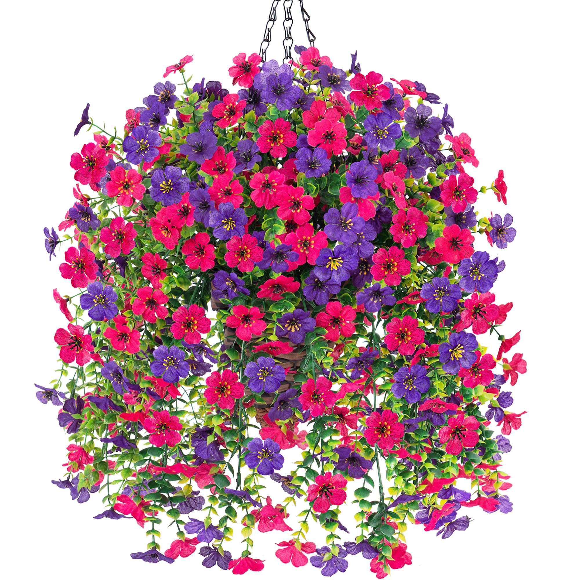 HyeFlora daisy hanging basket outdoors adds year-round color with low maintenance.
