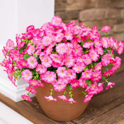 HyeFlora eucalyptus leaves accent for patios and porches.