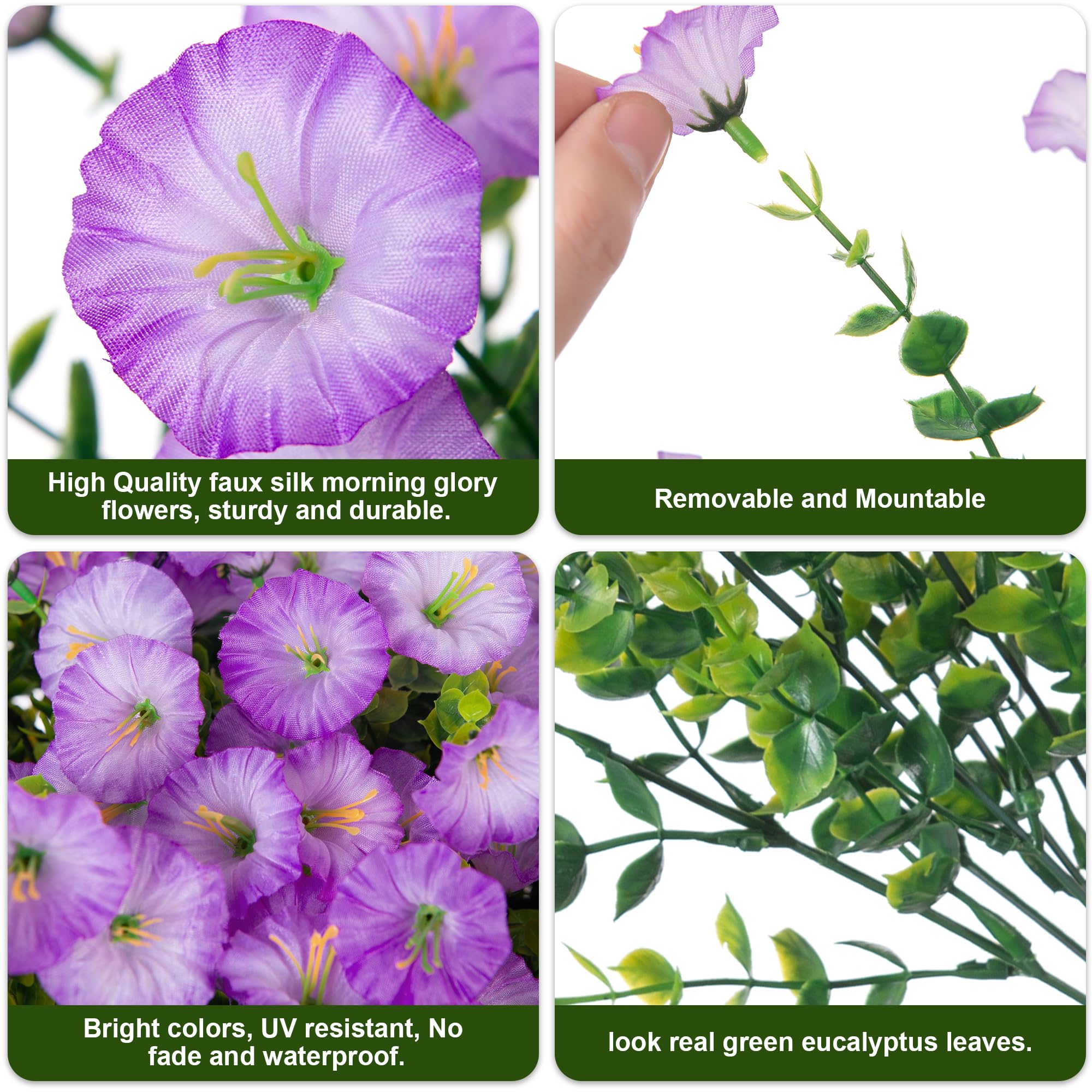 HyeFlora front door display with vibrant purple morning glory accents.