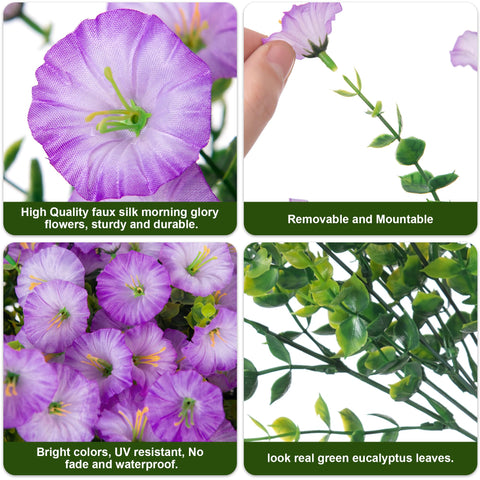 HyeFlora front door display with vibrant purple morning glory accents.