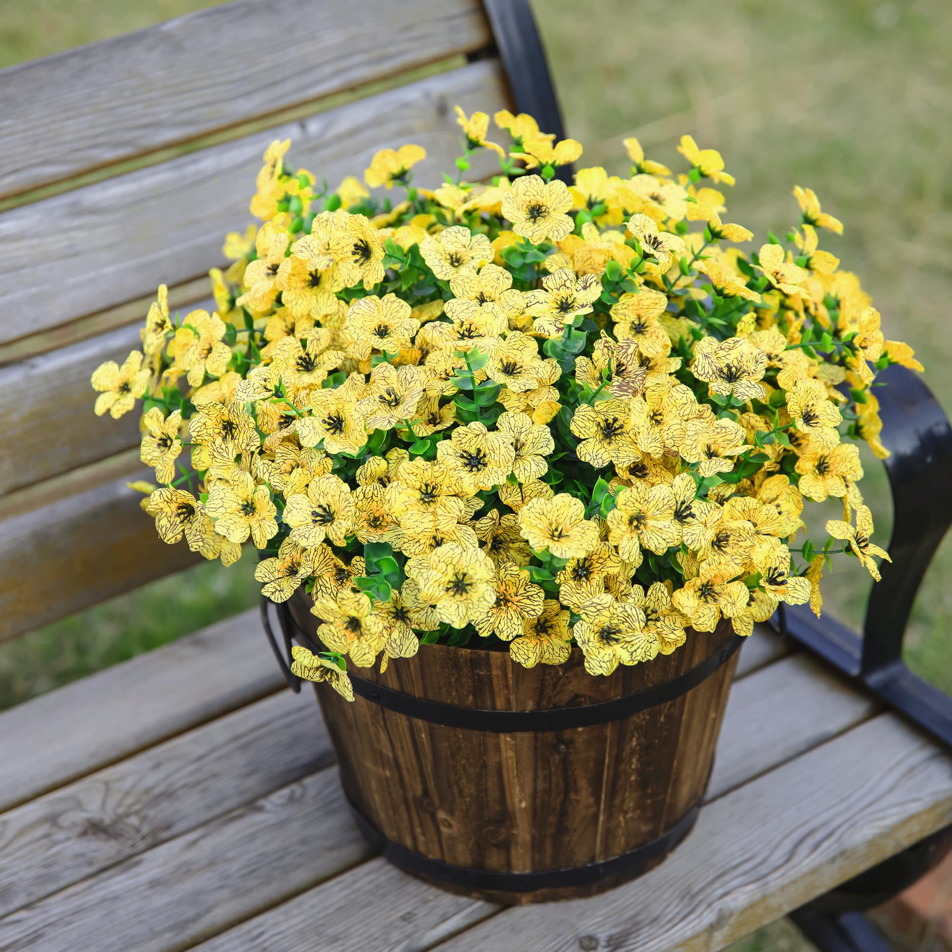 HyeFlora yellow daisies energize any garden or patio area.