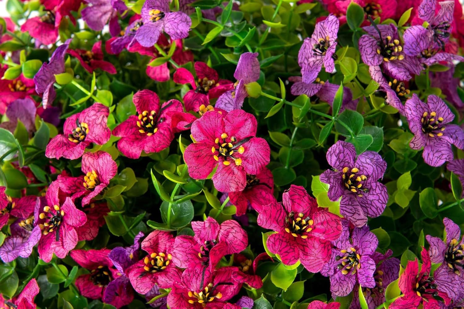 HyeFlora gift ready greenery suits balconies kitchens or office nooks.