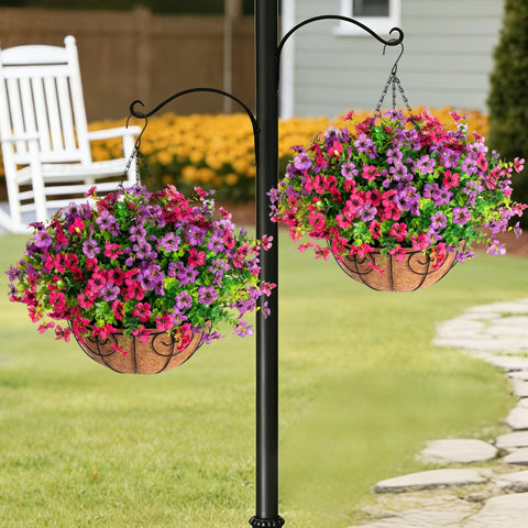 HyeFlora two hanging baskets create a lush balcony display.