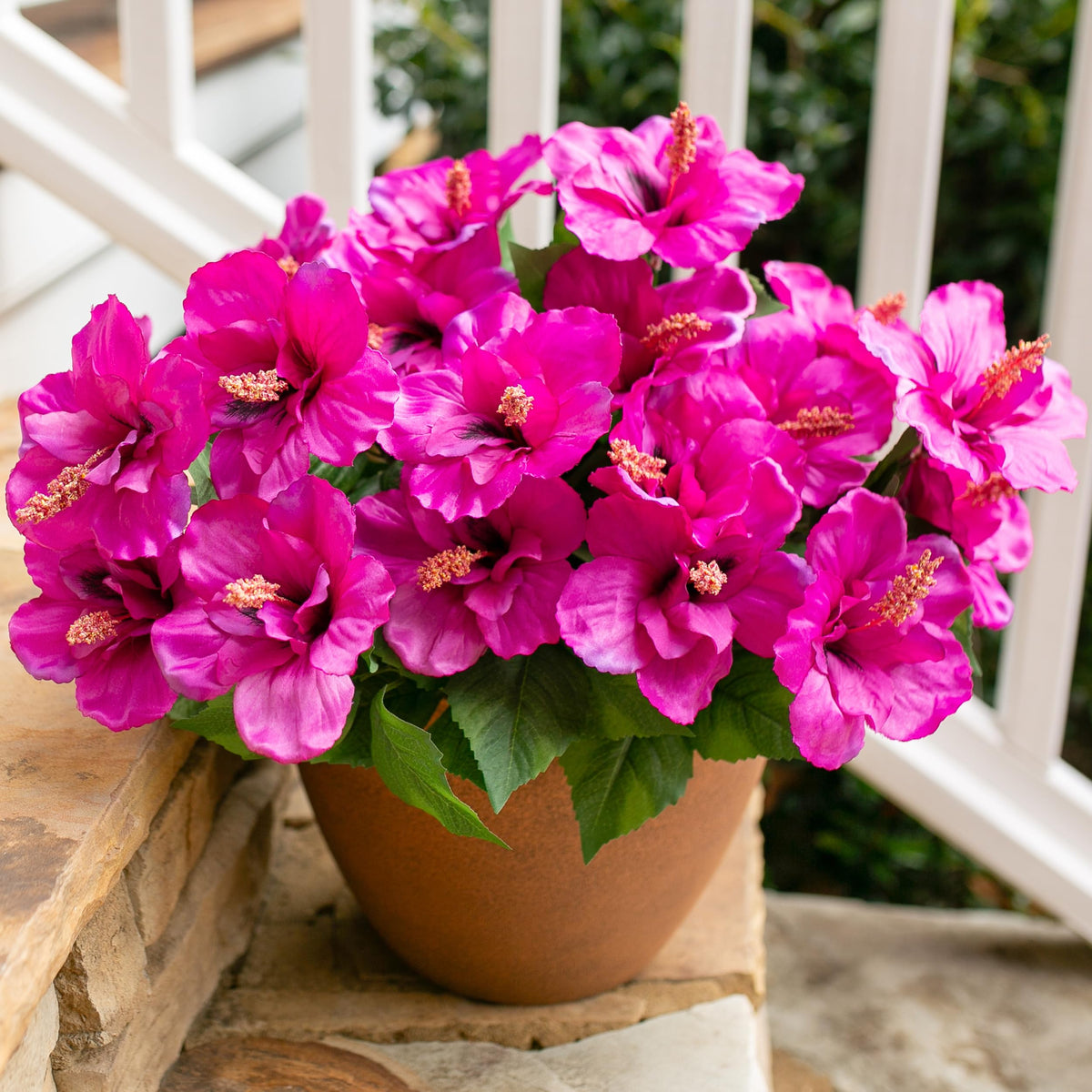 HyeFlora hibiscus outdoor bundle close-up for porch decor
