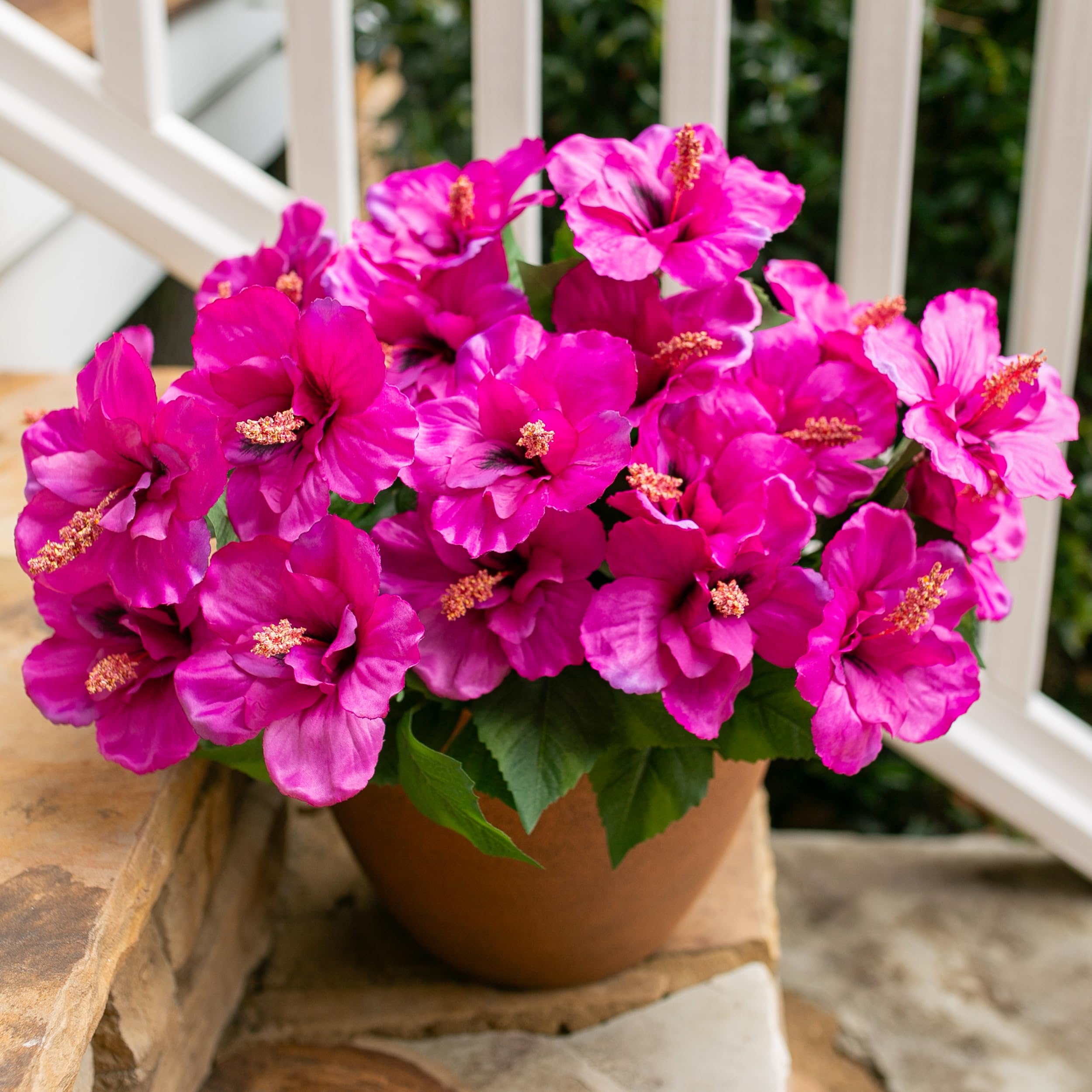 HyeFlora hibiscus outdoor bundle arrangement brightens sunlit porches