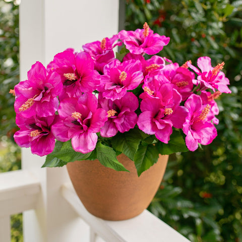 HyeFlora artificial hibiscus bundle appears lifelike from a distance on a patio