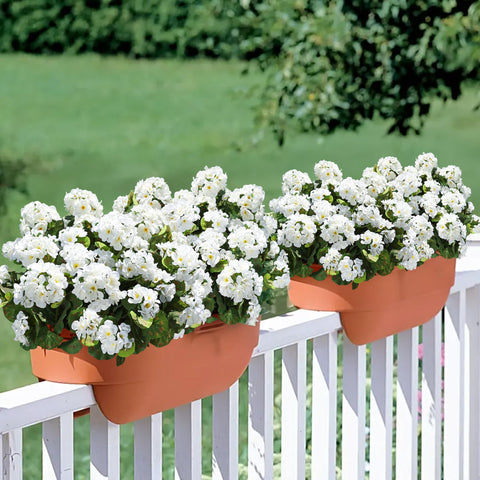 HyeFlora low-maintenance flowers add spring vibes indoors.