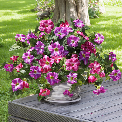 HyeFlora front porch decor with fuchsia petunias adds instant curb appeal.