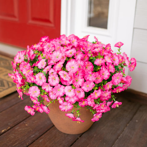 HyeFlora low-maintenance outdoor decor saves time.