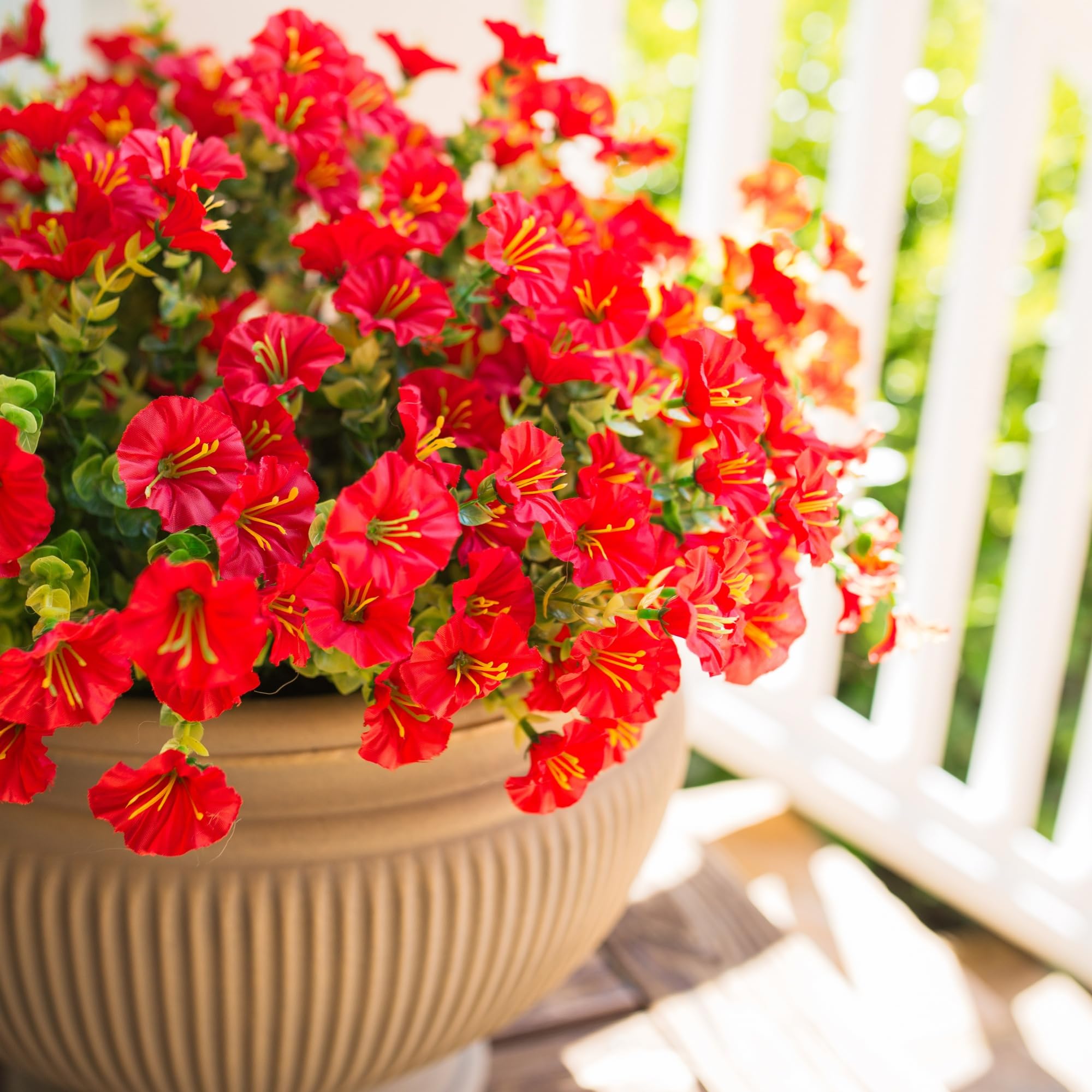 HyeFlora red morning glory with eucalyptus adds color without watering.