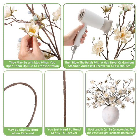 HyeFlora magnolia stem vase arrangement enhances living spaces with easy maintenance.