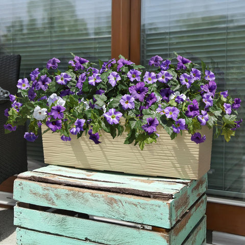 HyeFlora maintenance-free petunias save watering and pruning time