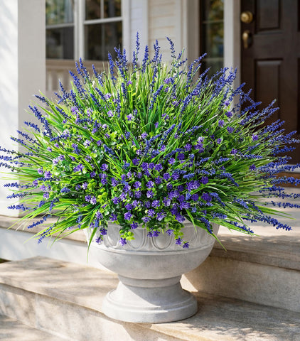 HyeFlora monkey grass bundle for year-round planter decor.