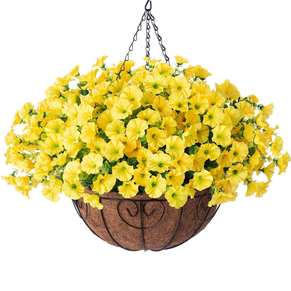 HyeFlora morning glory hanging basket closeup for outdoor decor