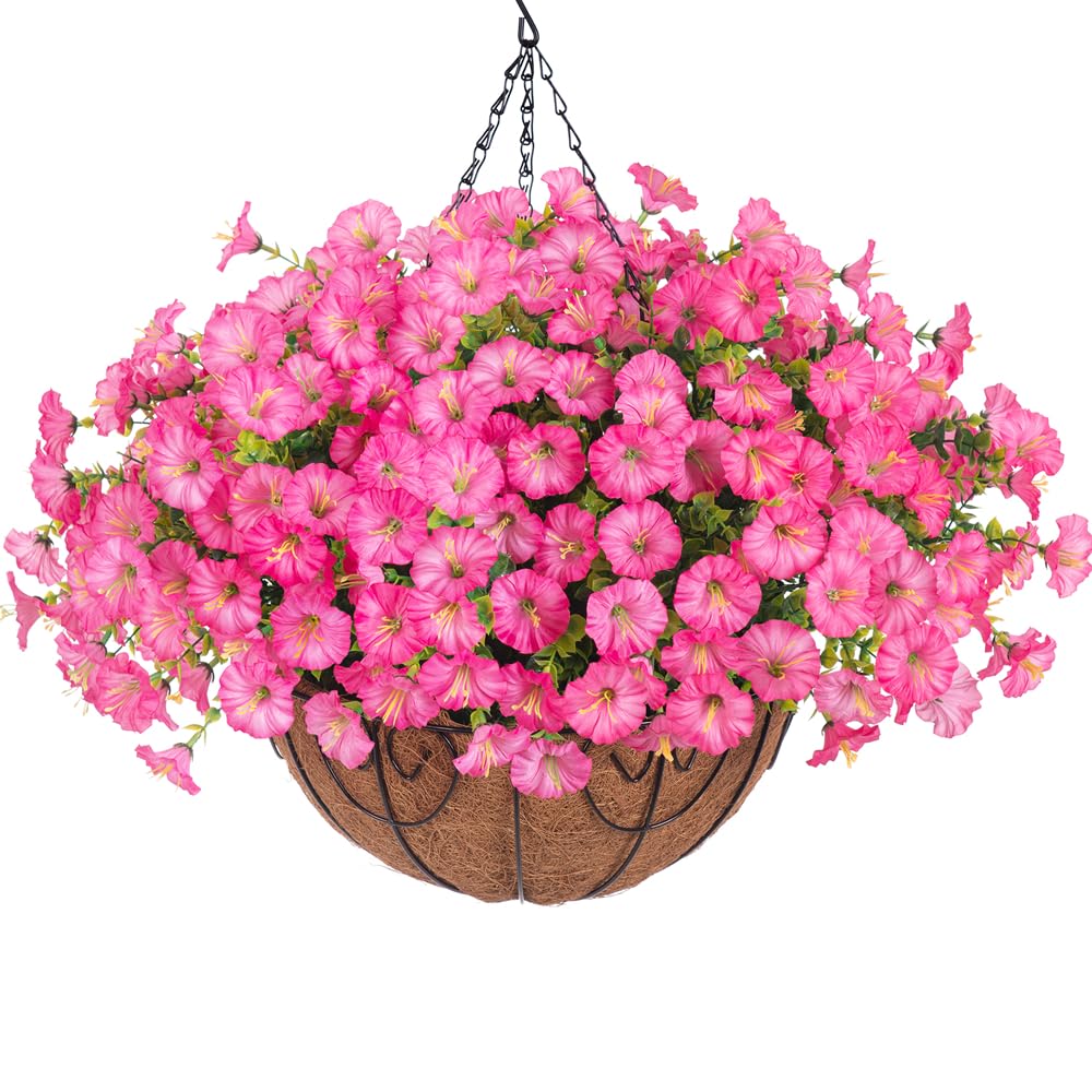HyeFlora morning glory with eucalyptus in a hanging basket for outdoor beauty and curb appeal