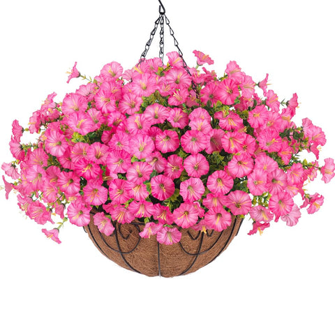 HyeFlora morning glory with eucalyptus in a hanging basket for outdoor beauty and curb appeal