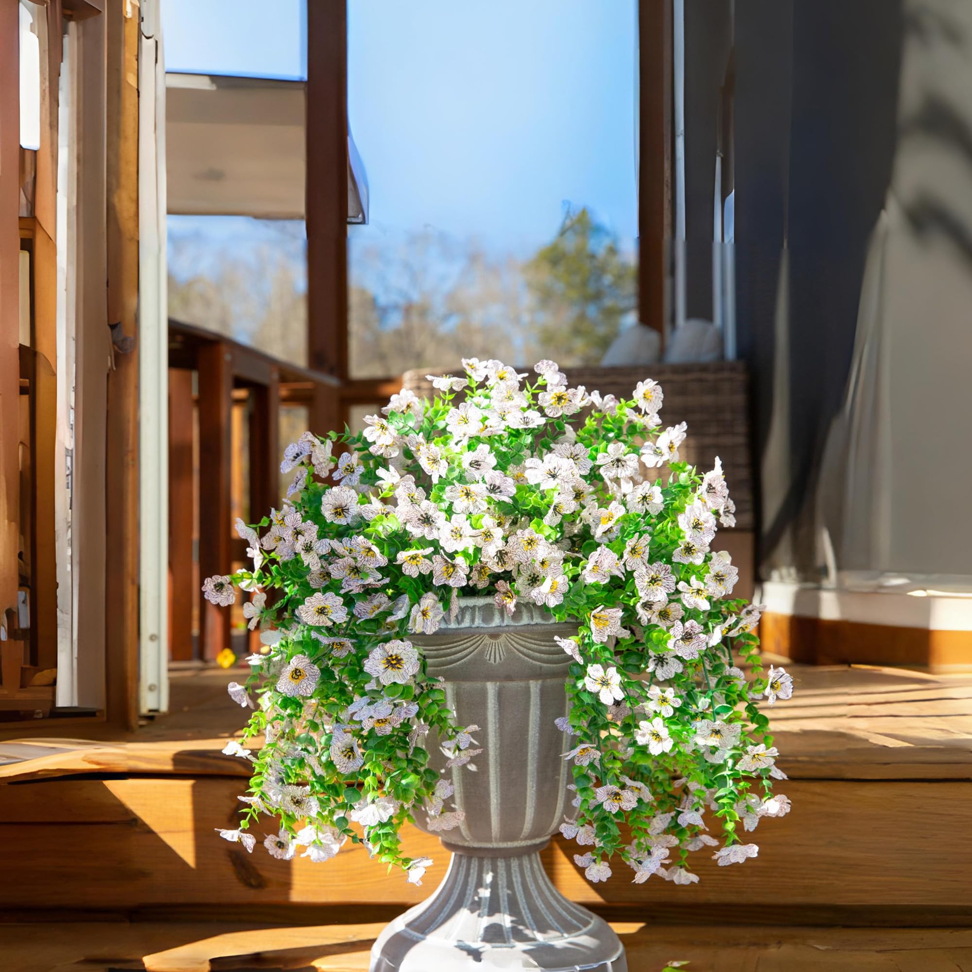 HyeFlora white daisies brighten entryways and garden paths.