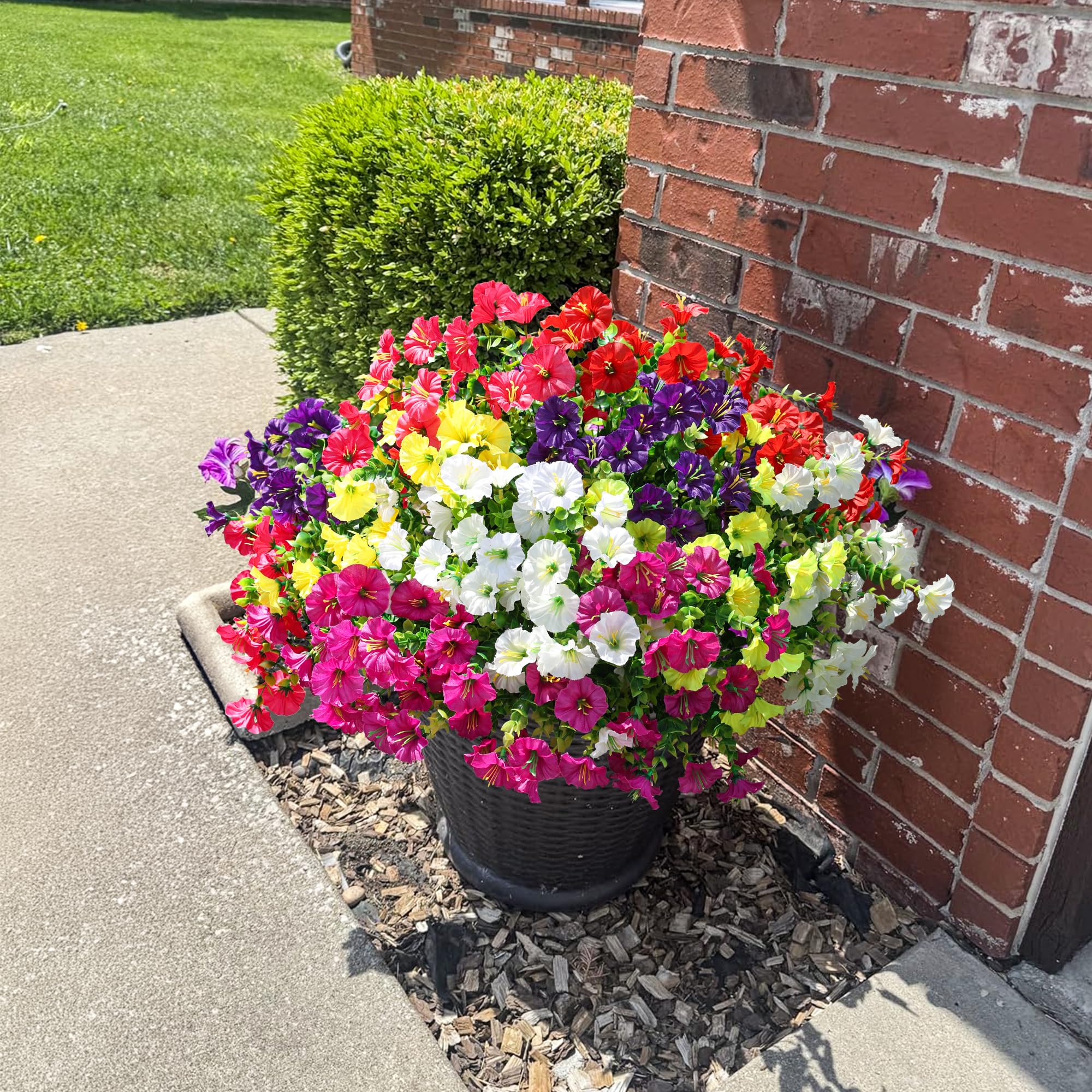 HyeFlora outdoor flowers on porch brighten entrances with low maintenance.