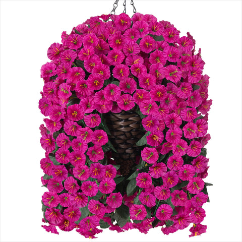 HyeFlora outdoor-indoor hanging basket ideal for porch or balcony.