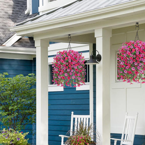 HyeFlora patio decoration elevates porches, lawns, and windows with vibrant color.