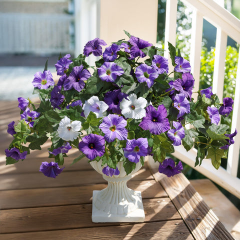 HyeFlora front porch petunia decor adds vibrant color year-round