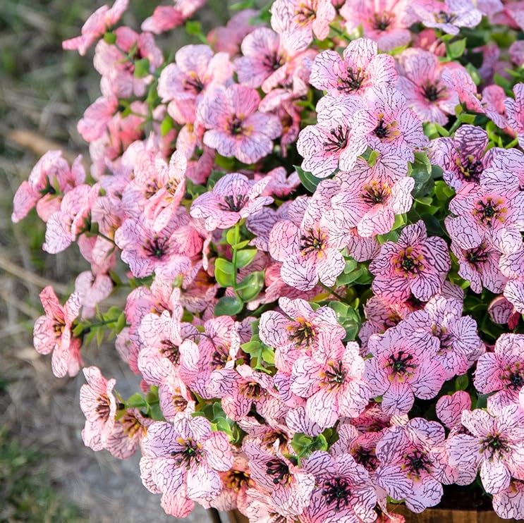 HyeFlora pink daisy with eucalyptus leaves bundle enhancing a sunny porch