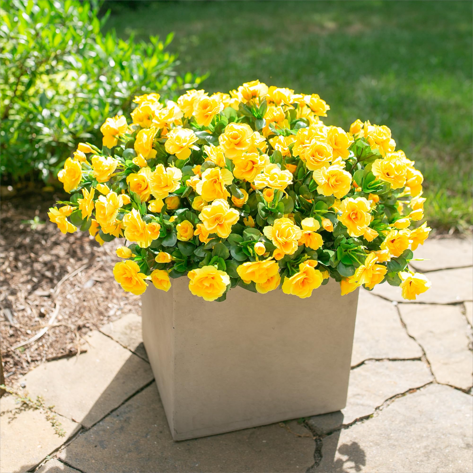 HyeFlora porch decoration with yellow camellias in a planter for curb appeal.